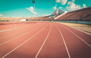 FocusStocker/Shutterstock